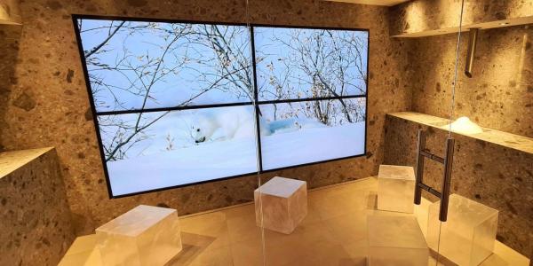 Saunawelt NEU Eis-Lounge