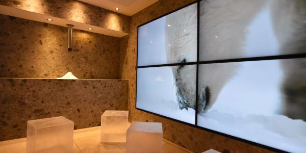 Saunawelt NEU Eis-Lounge