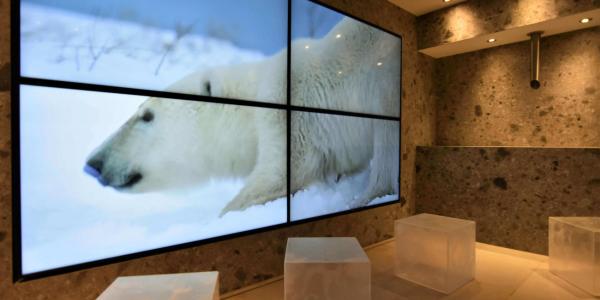 Saunawelt NEU Eis-Lounge